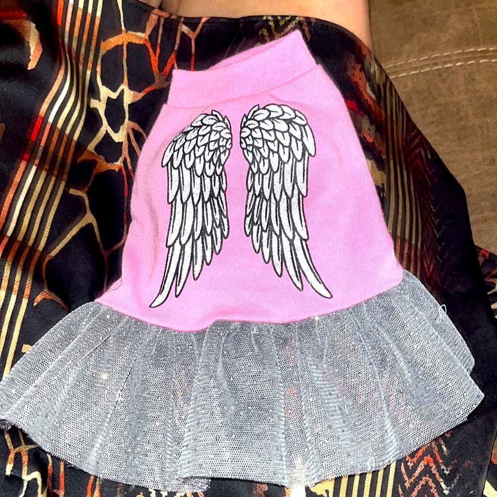Very small angel wing dress with sparkles